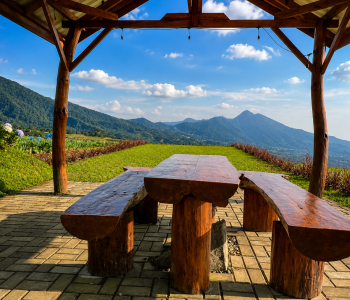 VIEW FROM GAZEBO
