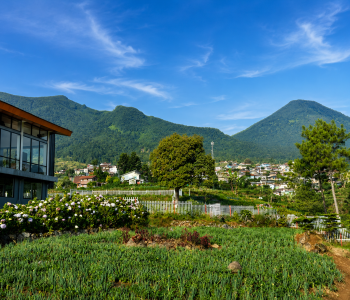 VIEW GUNUNG