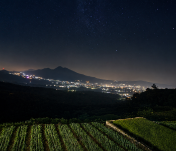 VIEW MALAM HARI
